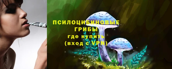 стафф Алексин