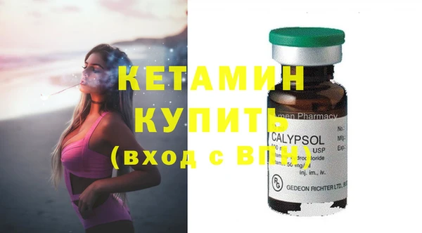 стафф Алексин