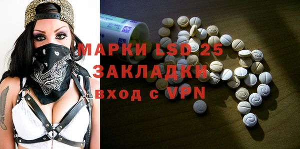 прущий лед Алзамай
