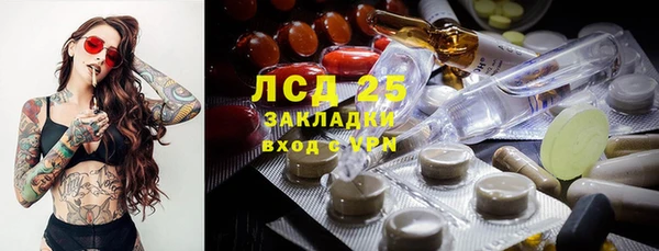прущий лед Алзамай