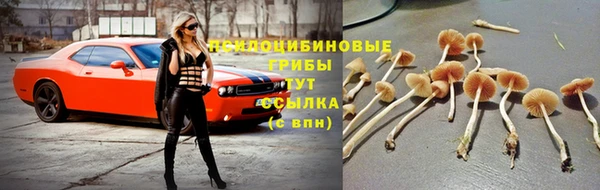 прущий лед Алзамай