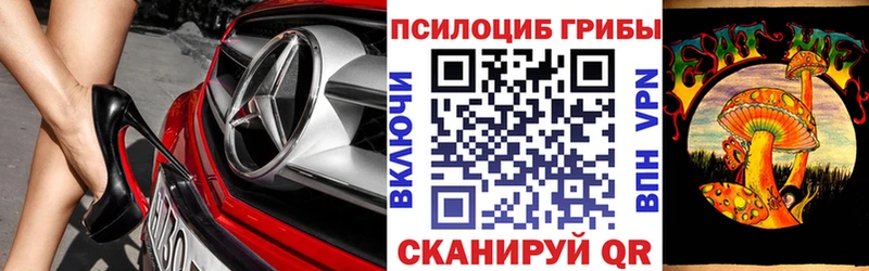 Галлюциногенные грибы Psilocybe  Алупка 